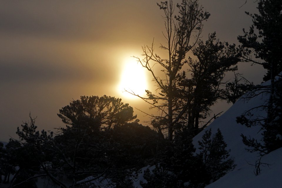 Sunrise at Mammoth Hot Springs