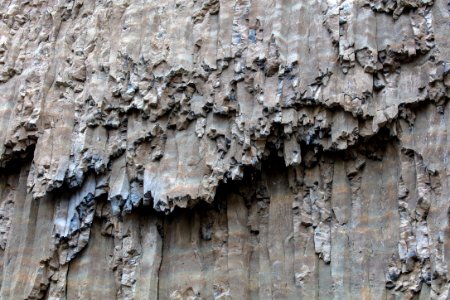 Columnar basalt wall near Tower Fall photo