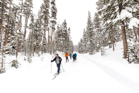 Cross-country skiing North Rim Drive