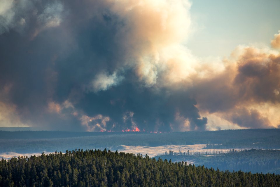 Spruce Fire from Dunraven Pass