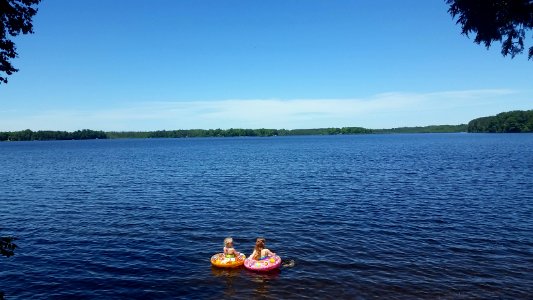 Submitted by Nell Speerschneider