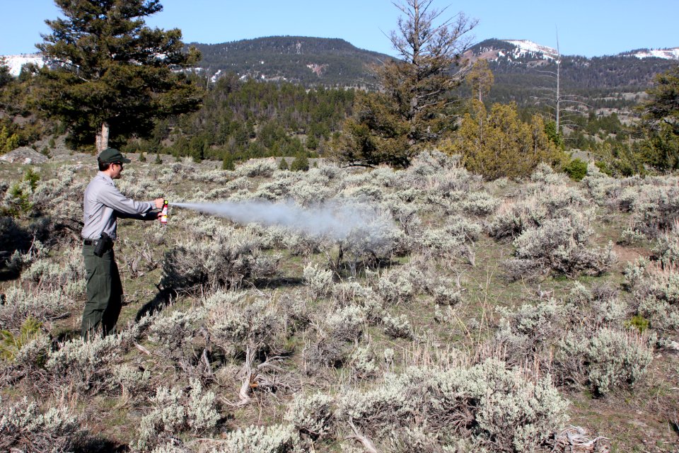 Proper way to hold bear spray when discharging