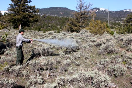 Proper way to hold bear spray when discharging
