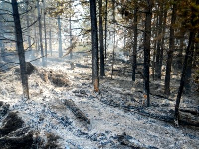 Maple Fire, August 14, 2016