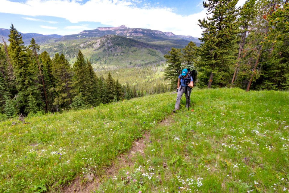 Views along the Coyote Creek Trail in the Absaroka Beartooth Wilderness
