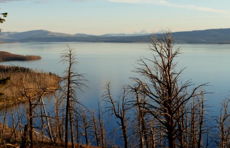 Yellowstone Lake photo