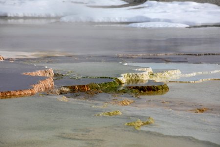 Mammoth Hot Springs Terraces photo