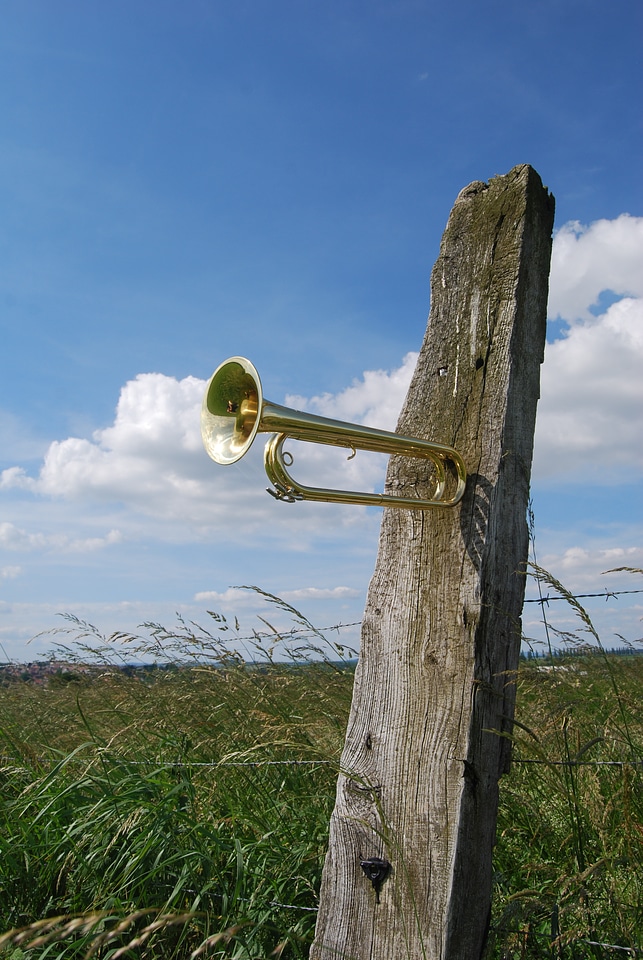 Musical instrument meadows post