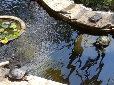 20180806 133542