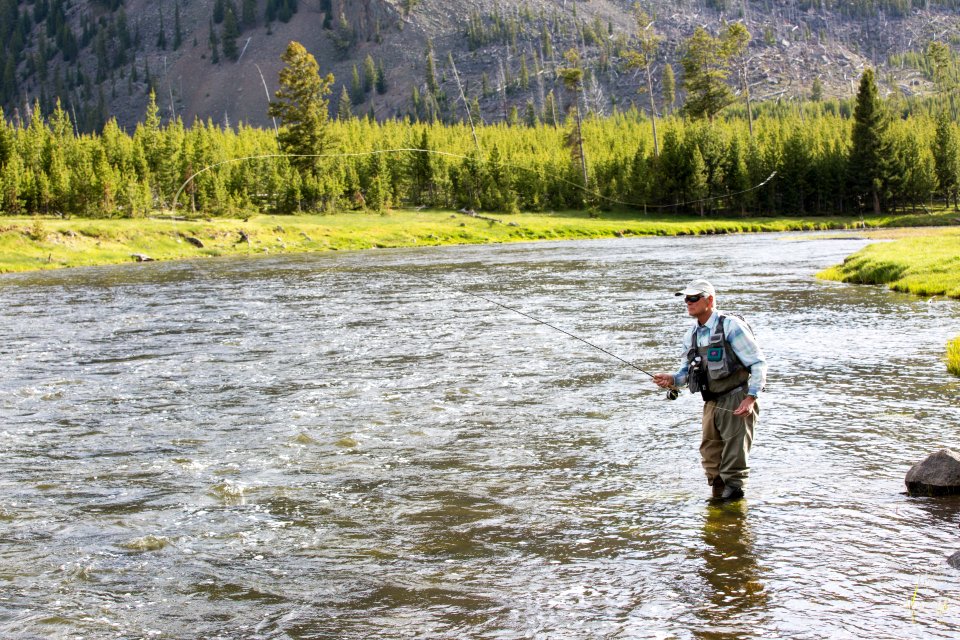 Fly fishing on the Madison River