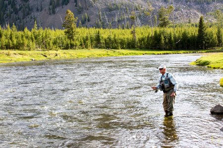 Fly fishing on the Madison River