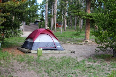 Norris Campground walk in site photo