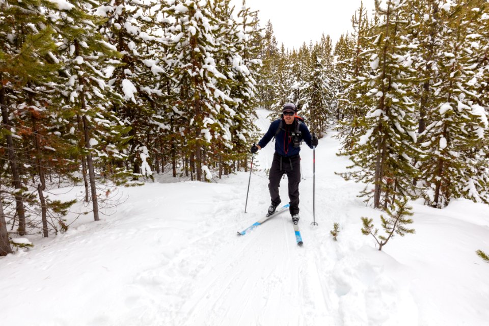Skier on the Kepler Cascades Trail