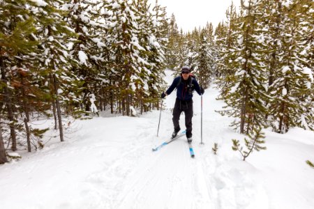 Skier on the Kepler Cascades Trail photo