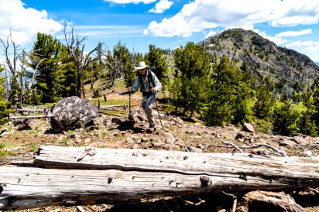 Hikers in the Dunraven Pass area