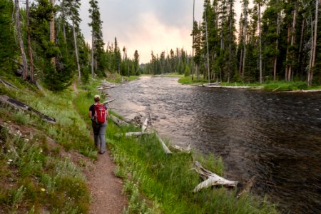 Hiker on the Lewis River Channel Trail