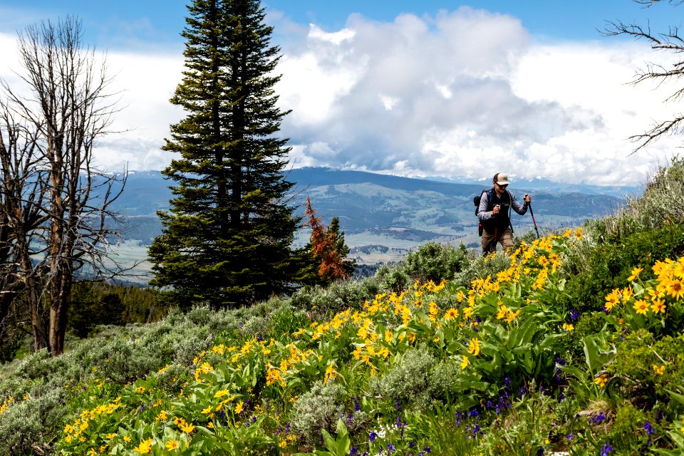 Summer hiking in Lamar Valley (5)