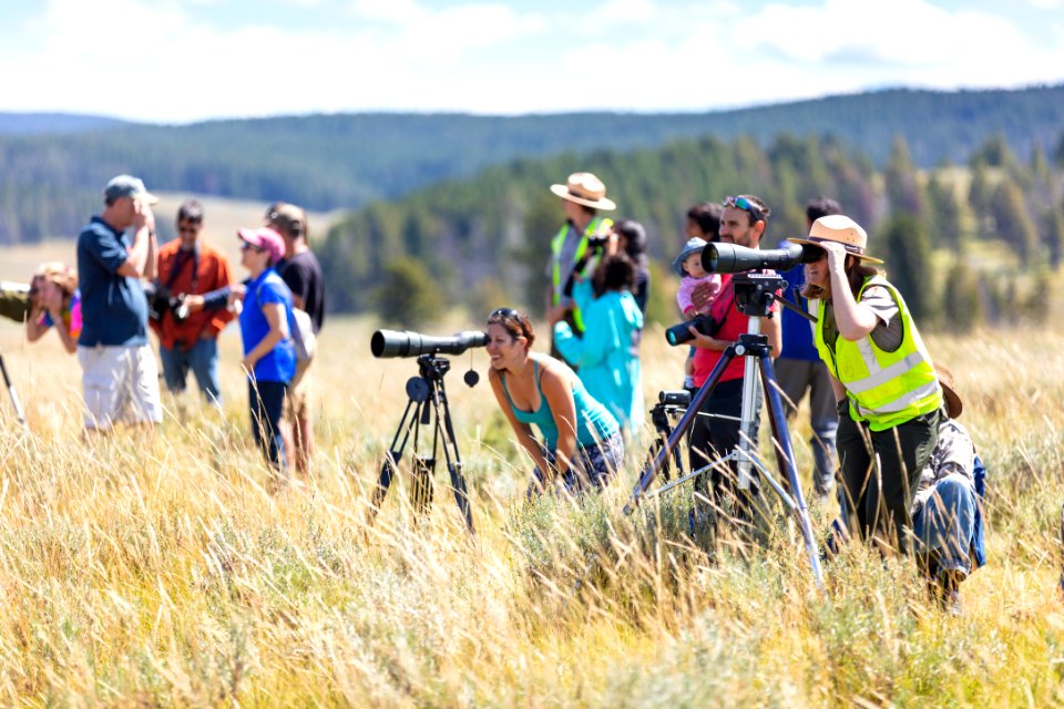 Ranger watches a grizzly bear from a safe distance through a spotting scope