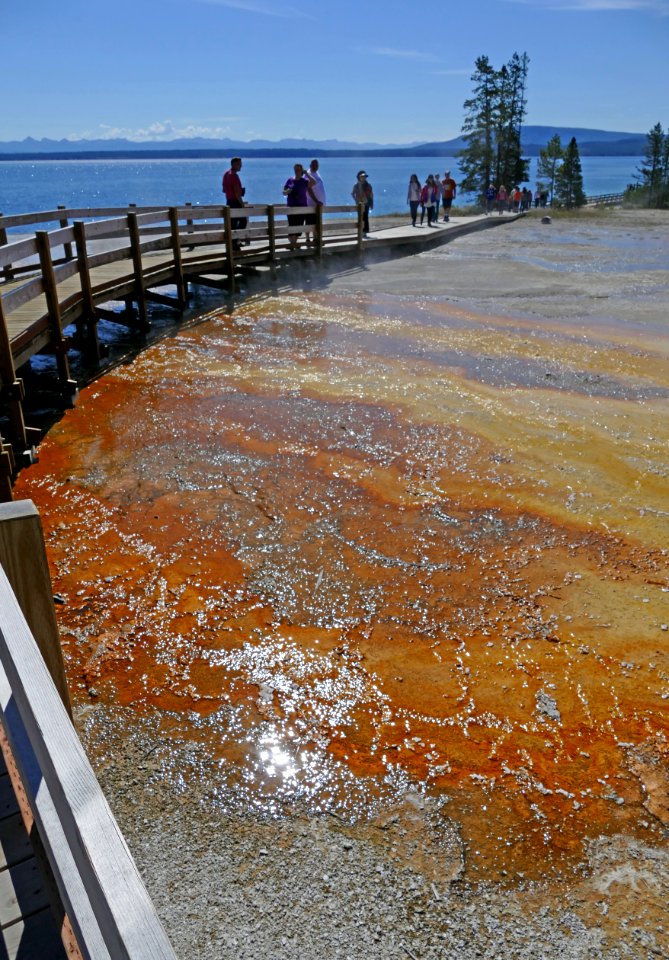 West Thumb Geyser Basin