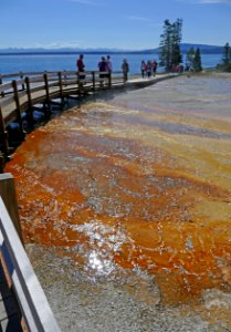 West Thumb Geyser Basin