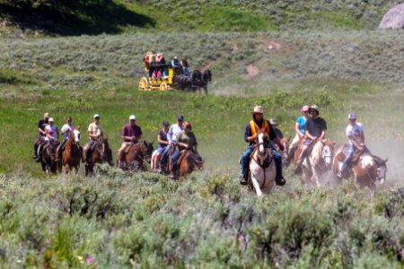 Horseback riding and stagecoach near Tower Junction photo