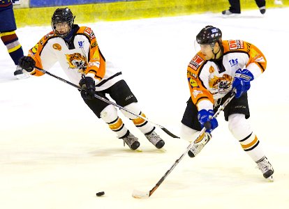 Guildford Flames At Telford Tigers