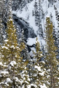 Virginia Cascades