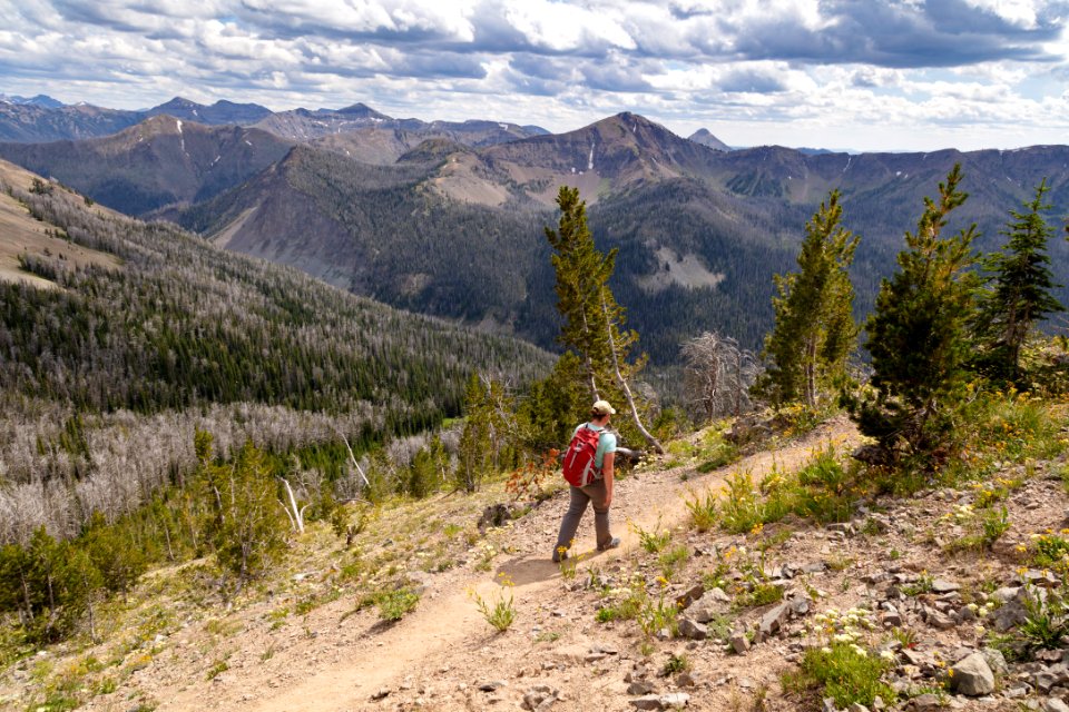 Hiker headed up the Avalanche Peak Trail