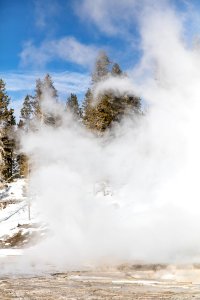 Turban Geyser steam phase