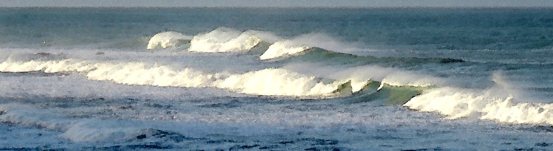 CA NORTH COAST ( 1-4-2017) howard landing, westport-union state beach, mendocino co, ca ,WATERCOLOR (3)