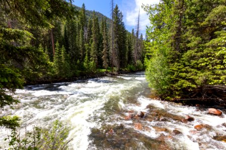 Confluence of Horse and Hellroaring Creeks photo