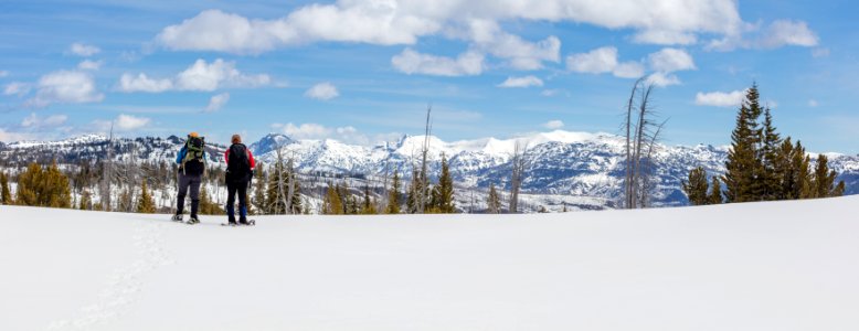 Snowshoers take in the views from Buffalo Plateau (panorama) photo