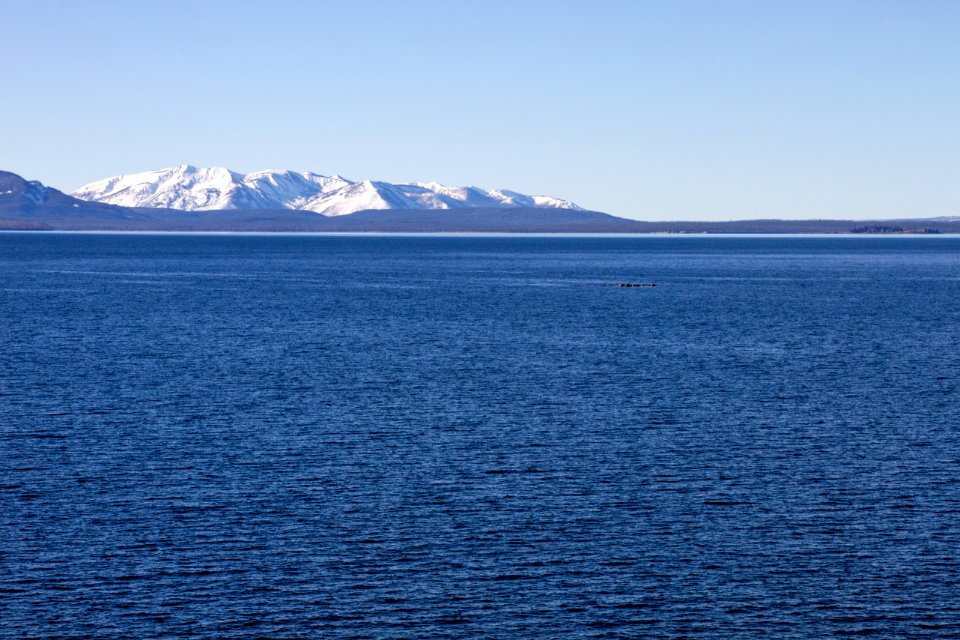 Pelican Roost in Yellowstone Lake