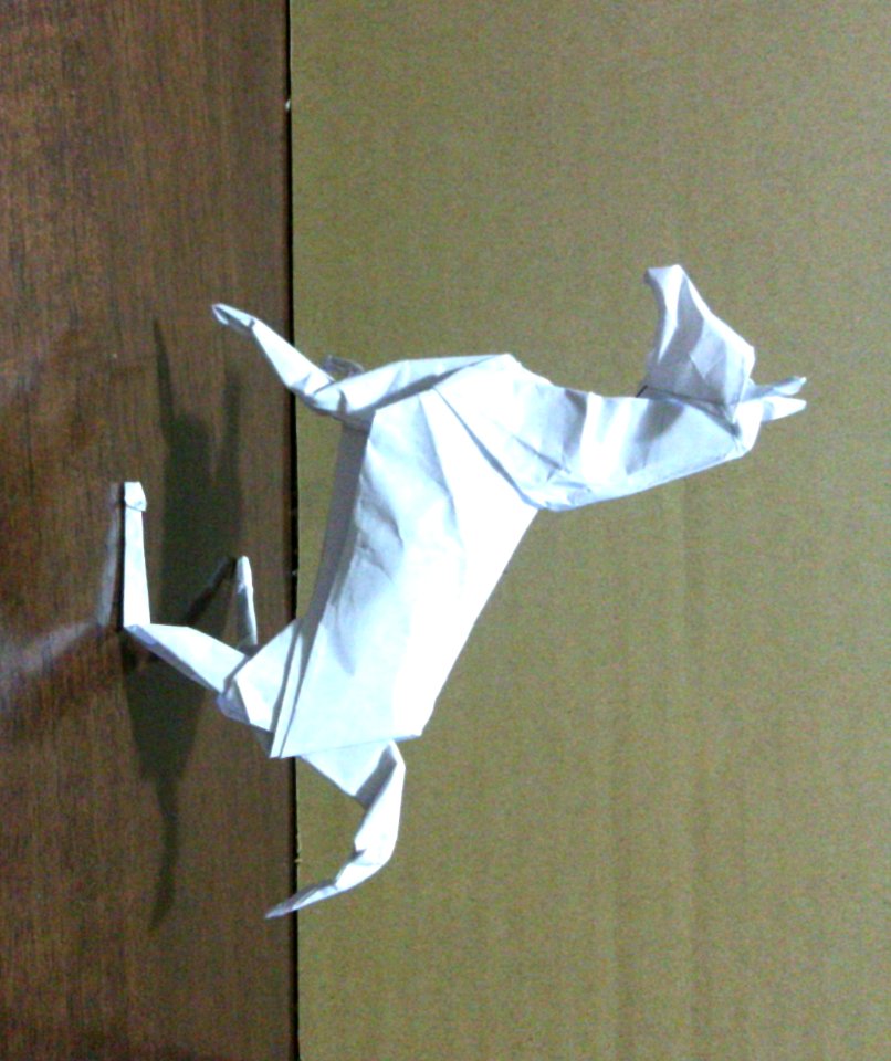 Horse-David Brill 2