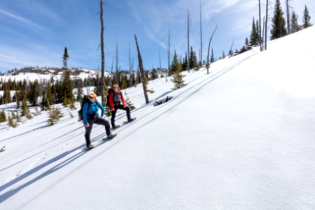 Snowshoeing Buffalo Plateau in spring photo