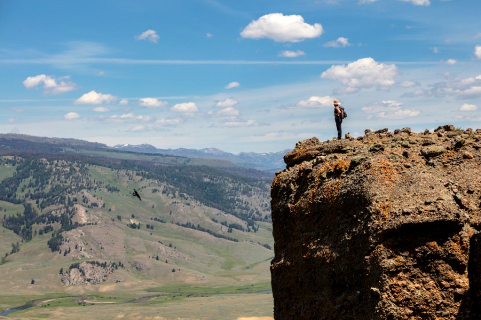 Hiker and Raven on Specimen Ridge