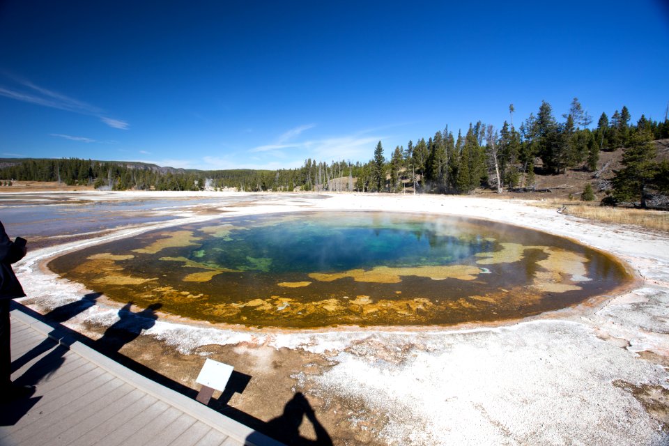 Beauty Pool, Upper Geyser Basin