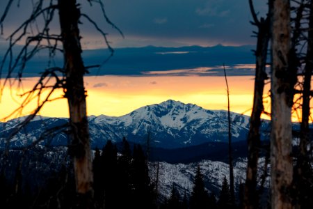 Sunset through the trees over Electric Peak
