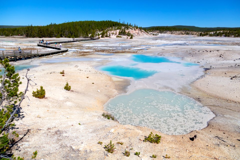 Colloidal Pool and boardwalk in Norris Geyser Basin