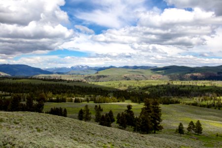 Sunny afternoon views along the road to Dunraven Pass photo