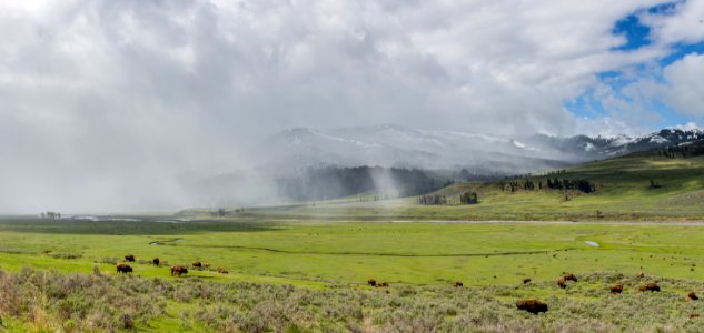 Clearing storm, Lamar Valley photo