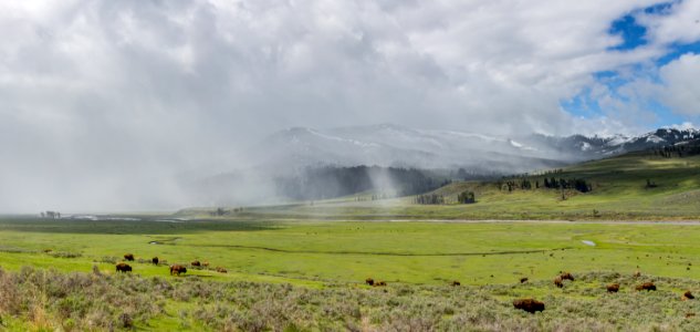 Clearing storm, Lamar Valley