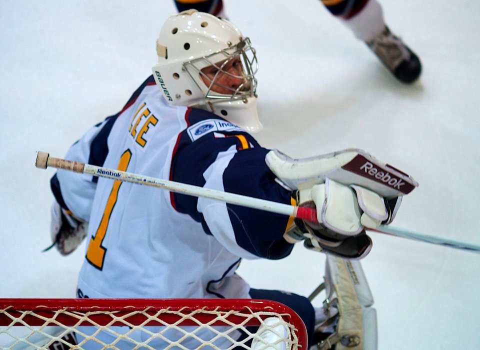 Guildford Flames Vs Telford Tigers