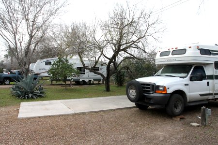 Americana RV Park has better trees and birding potential than most others around