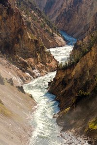 Yelliowstone RIver from Brink of Lower Falls (portrait) photo