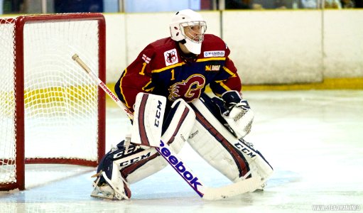 Guildford Flames At Basingstoke Bison