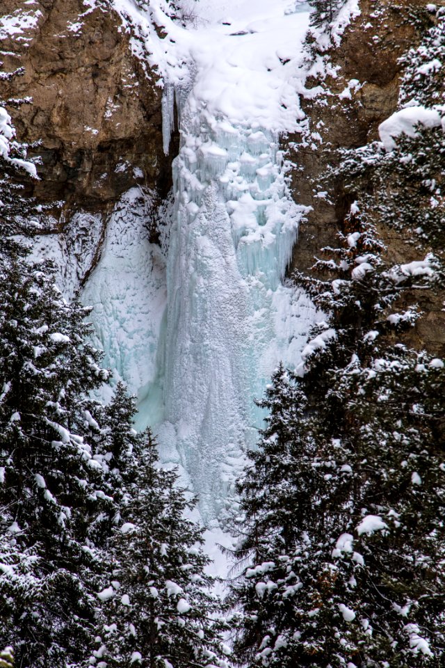 Frozen Tower Fall Portrait