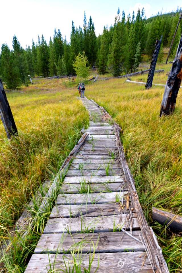 Foot bridge through the marsh on Lake Abundance Trail