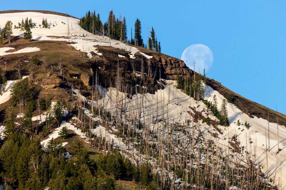 Moon setting behind Specimen Ridge