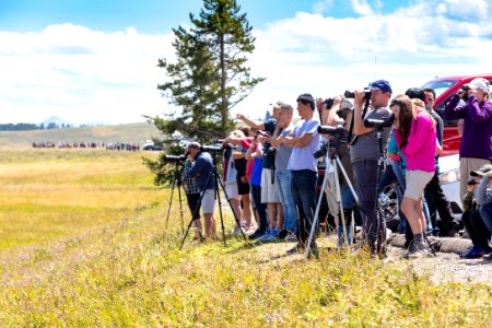 Crowds gather to safely watch a grizzly bear in Hayden Valley